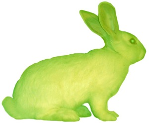 GFP Bunny is a transgenic artwork that comprises the creation of a green fluorescent rabbit, the public dialogue generated by the project, and the social integration of the rabbit.